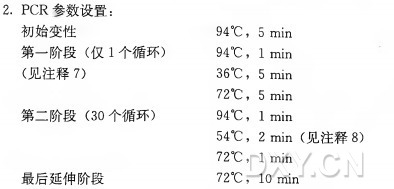 荧光RNA随机引物触发的聚合酶链反应实验