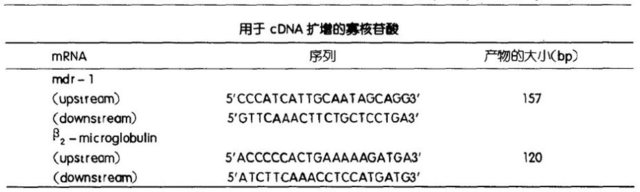 多药抗药基因的表达实验（PCR扩增法）