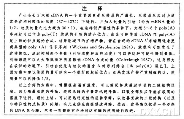 用经典 RACE 扩増 3'末端 cDNA 实验