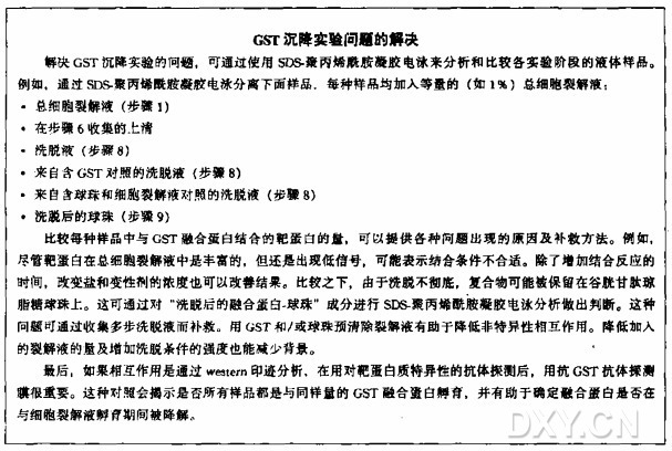 GST 融合蛋白沉降技术检测蛋白质