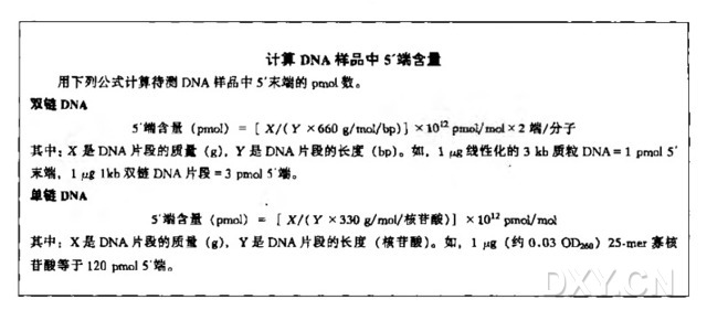 用碱性磷酸酶进行DNA片段的去磷酸化