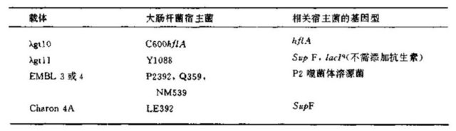 噬菌体文库的扩增实验基本方案