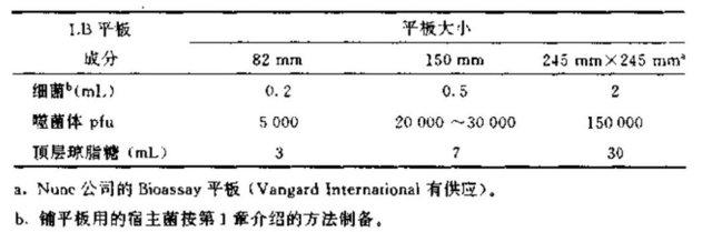 噬菌体文库的铺平板和转移实验基本方案