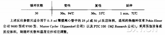 用大片段基因组 DNA 克隆直接筛选 cDNA实验