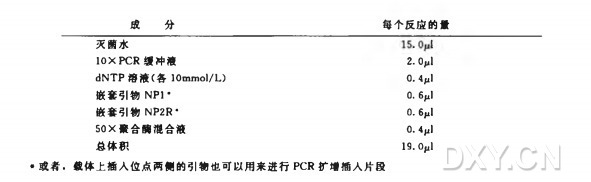 基于 PCR 的 DNA 斑点印迹实验