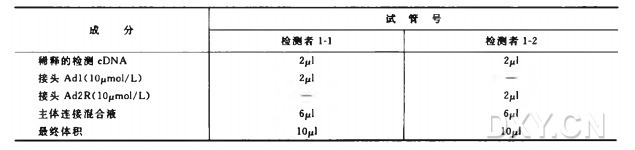 消减 cDNA 或基因组 DNA 文库的制备实验