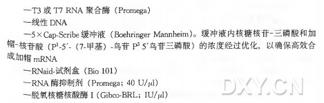 mRNA 的细胞内注射实验