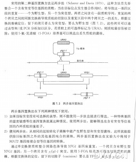 基因置换实验（两步基因置换法）