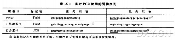 实时 PCR 实验