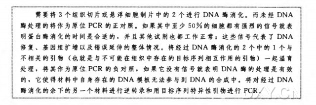 逆转录酶原位 PCR 实验