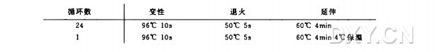 测序反应实验