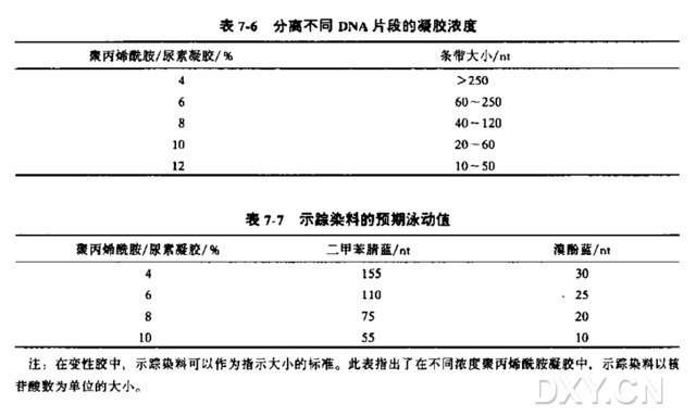 用S1核酸酶对RNA作图