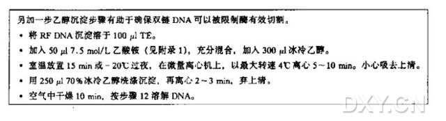 M13噬菌体双链（复制型）DNA的制备