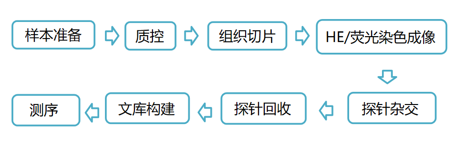 解锁 Visium FFPE 实验全流程