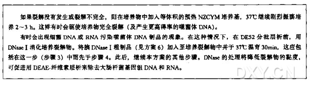 λ噬菌体分离物的快速分析(从液体培养物中纯化λDNA)实验