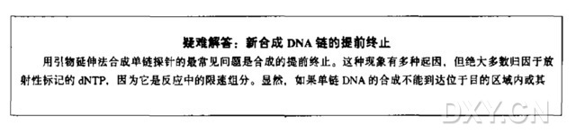 从M13噬菌体模板合成固定长度的单链DNA探针