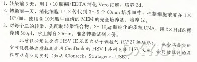 1. 转染前3 天，用 1 : 10胰酶/E D T A 消化Vero细胞，培养2d。 2. 转染前一天，消化细胞1 : 2 传代到3〜5 个 60m m 培养皿中，控制细胞浓p 在 1〇6/皿，使用含10%胎牛血清的M E M 的完全培养基。培养ld。 — ^ 3•对每个皿的转染，先配制转染混合物： 2〜10吨胶纯化的质粒D N A ，用 2X 释到500^1，冰上孵育20m m 。准备转染试剂3 份。 ’ 6 怖 此 质 粒 必 须 包 含 有 H S V I E 基 因 启 动 子 调 控 的 I C P 2 7 编 码 序 列 。疮 參 广 主 ^ 室 可 能 提 供 这 质 粒 或 者 用 G e n B a n k 的 H S V I 序 列 克 隆 H S V 文 库 。各 药 ‘; S = $ 粒 可 以 商 业 购 买 到 （ 如 从 Clontech, Stratagene， U S B ) 。