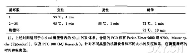 利用PCR分析酵母菌落