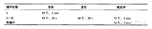 高容量载体中基因组DNA片段末端的分离(小载体PCR)