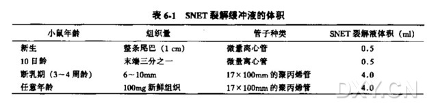 从鼠尾或其他小样本中制备基因组DNA