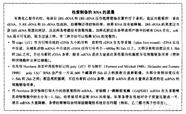 根据大小分离RNA:乙二醛化RNA的琼脂糖凝胶电泳