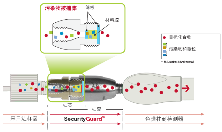  SecurityGuard保护柱为您的色谱分析提供贴身保护