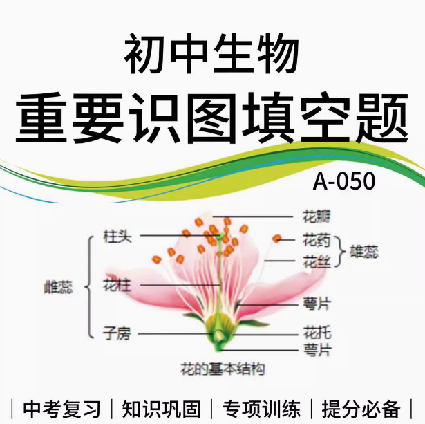 初中生物重要识图填空50个专项训练知识巩固提分复习资料电子版