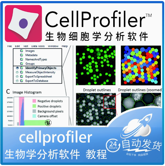 CellProfiler生物图像处理提取细胞软件 win+mac