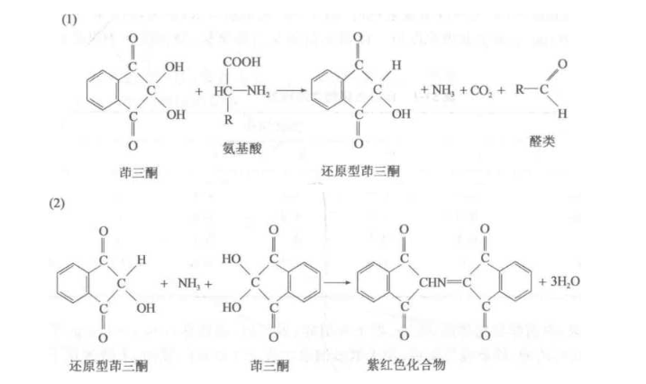 植物组织中游离氨基酸总量的测定