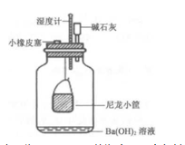 植物呼吸速率的测定