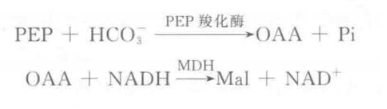 磷酸烯醇式丙酮酸羧化酶活性的测定