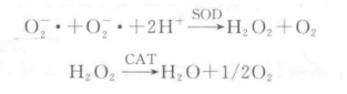 超氧化物歧化酶（SOD）活力测定