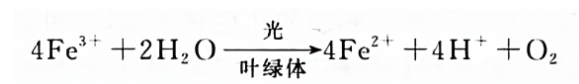 希尔反应的观察与测定