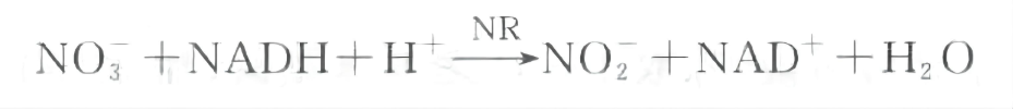 硝酸还原酶活性的测定
