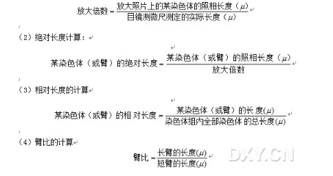 染色体组型分析实验