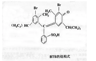 种子生活力的快速鉴定实验