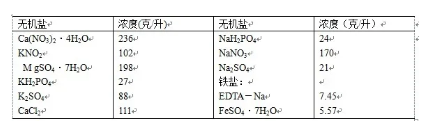 植物的溶液培养与矿质元素缺乏症实验