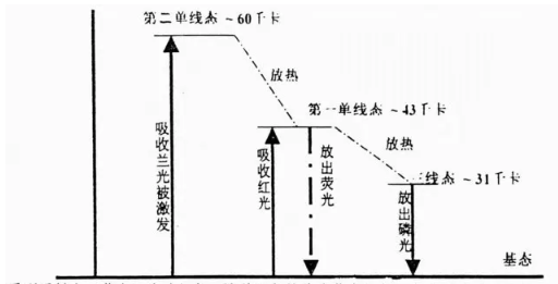 叶绿素的荧光现象实验