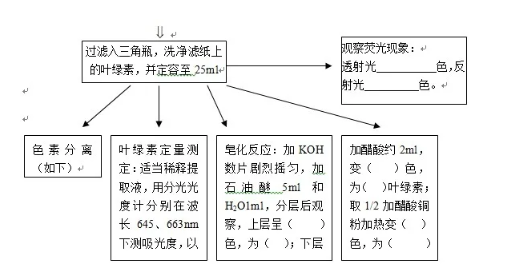 叶绿体色素的提取、分离、性质和定量测定实验