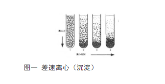 离心的种类和原理