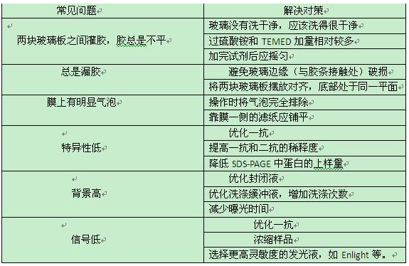 western-blot实验常见问题及解决方案（enlight）