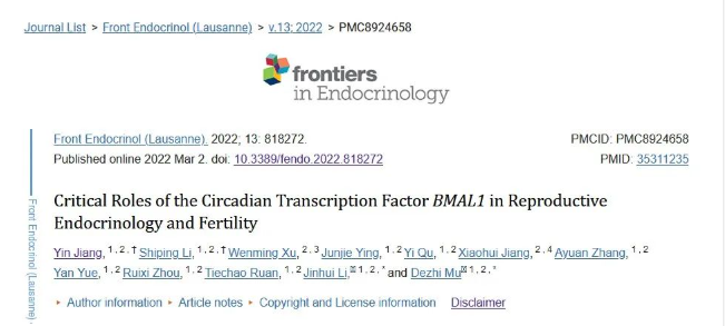 昼夜节律转录因子BMAL1在生殖内分泌学和生育中的关键作用
