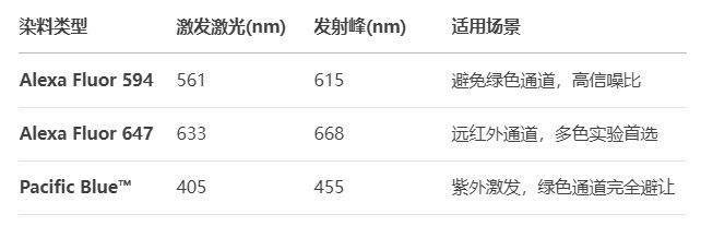 GFP与EdU染色冲突？兼容多荧光标记的实验设计技巧